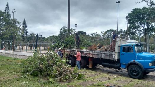 Praça dos Pioneiros também teve queda de árvores, em Paranavaí