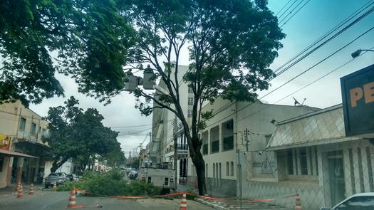 As equipes das Secretarias de Infraestrutura e Meio Ambiente, trabalharam durante todo o final de semana com a retirada de galhos e árvores nas ruas e avenidas, em Paranavaí